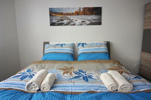 Deluxe Apartment Hornopoln�