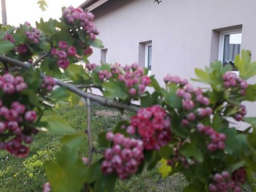Apartm�ny Na Vr?ku