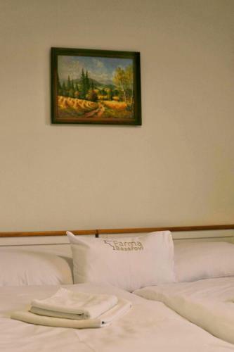 Hostal Farma Basarovi