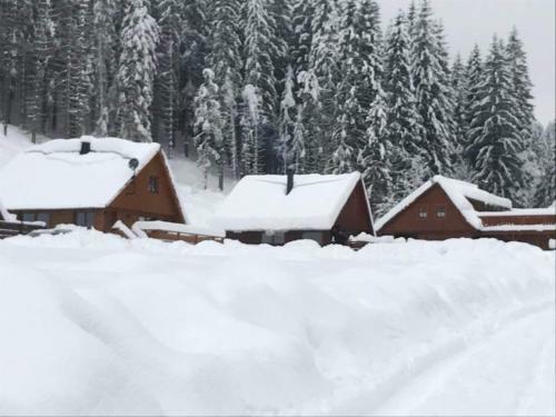 Lodge Are�l Leskov�