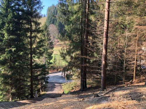 Lodge Chalupa Na Leskov�