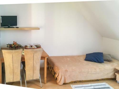 Hostal Penzion V Kout?