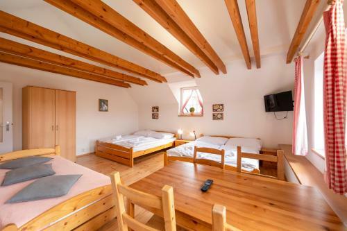 Agroturismo Penzion V?domice