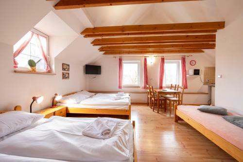Agroturismo Penzion V?domice