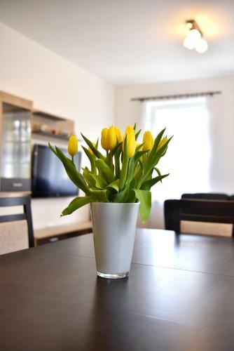 Holiday Home Turovec