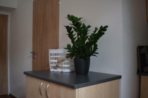 Apartmany L�pa