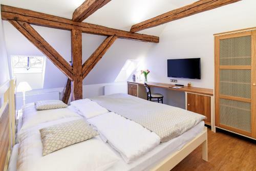 Hotel Z�mek Svijany