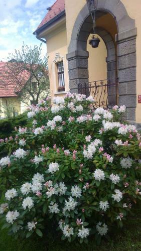 Hostal Penzion Romance