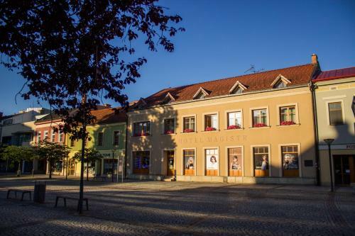 Hotel Magistr Vset�n