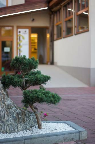 Hotel Magistr Vset�n