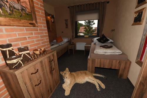 Hostal Cheetah Holiday Club