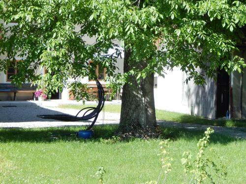 Apartamentos Ferienwohnung Am Feldbach