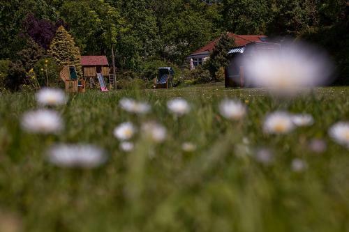 Ringhotel K�hlers Forsthaus