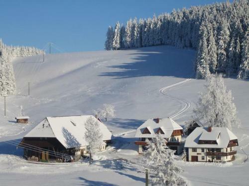Apartamento Oberengenbachhof