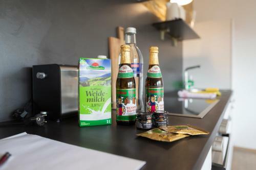 Apartamento Kuckucksnester Friedenweiler