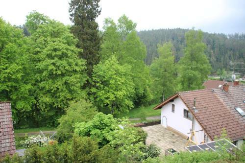 Apartamento Kuckucksnester Friedenweiler