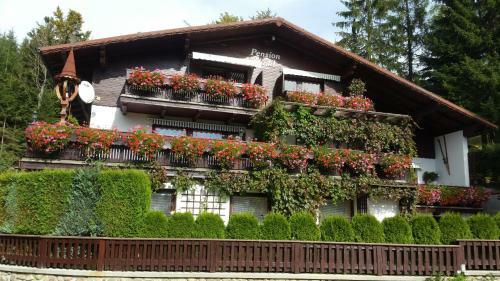 Hostal Pension Vinkl