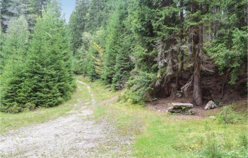 Holiday Home Harrachov Nr.