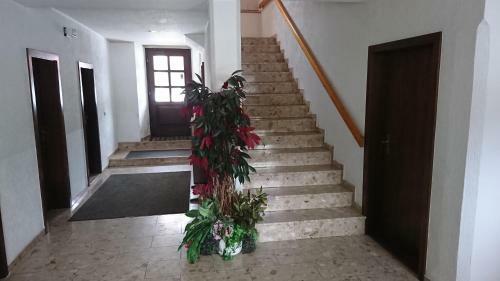 Hostal Pension Erbgericht