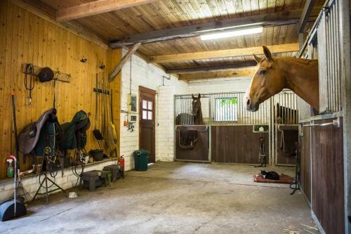Apartamento Davidshof, Bed & Breakfast