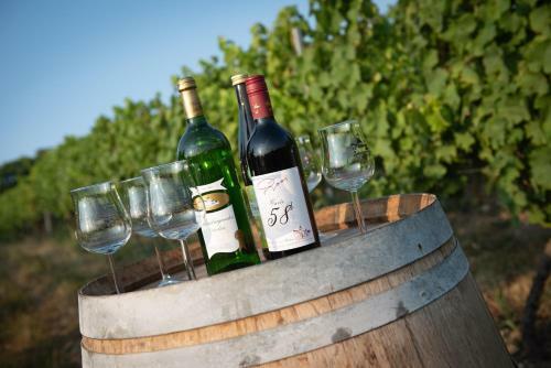 Hotel Weinschl��chen Im Weingut Roos