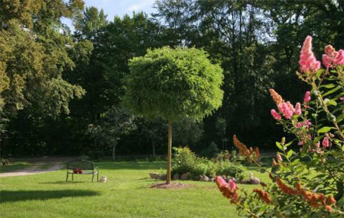 Ferienwohnungen Kuchelmi_ See 5350
