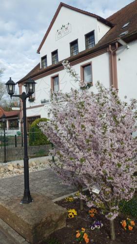 Hotel Waldhaus Knittelsheimer