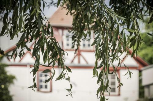 Hotel Jordan's Unterm�hle