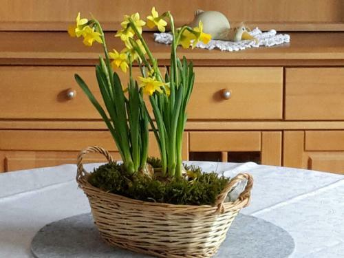 Apartamento Fehnhaus Janke