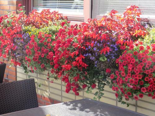 Nordseehotel Eymers