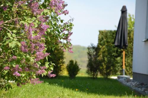 Ferienhaus R�gen