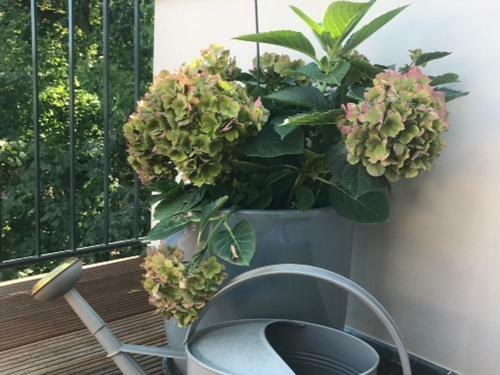 Apartamento Potsdamer Stadtoase