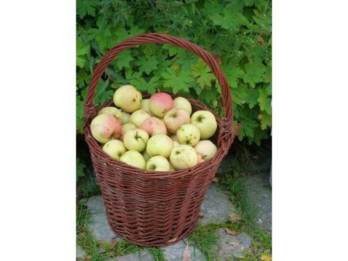 Cottage Das Kleine Gl�ck