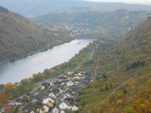 Apartamento Ferienwohnungen Scheid Volker
