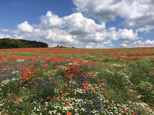 Klosterhotel Marienflie�