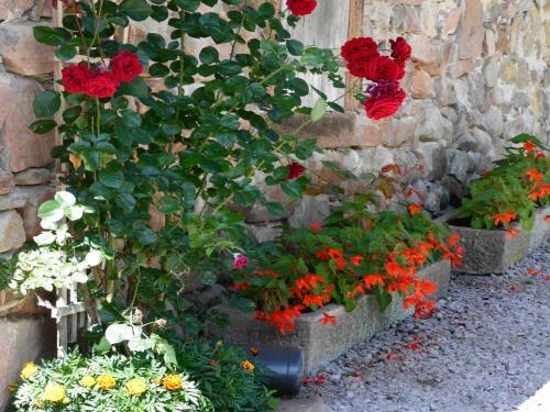Apartamento Hansenhof