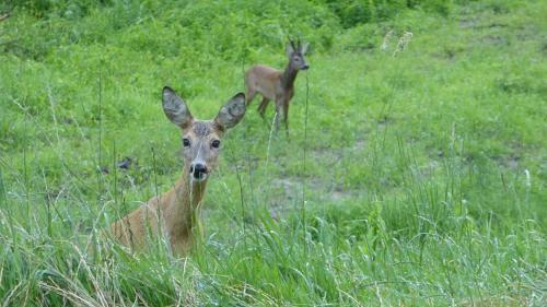 Agroturismo Alandblick