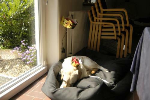 Hostal Nymindegab Overnatning