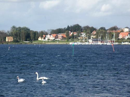 Three-bedroom Holiday Home In Nysted 3
