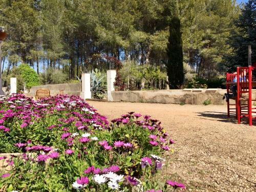 Agroturismo Casa Del Riu