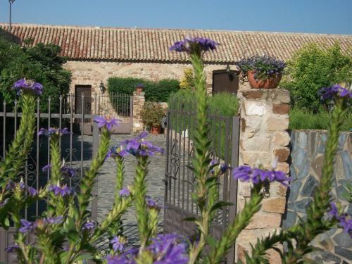 Hostal Finca El Cotillo