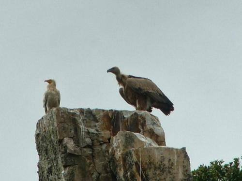 Agroturismo Los Montes