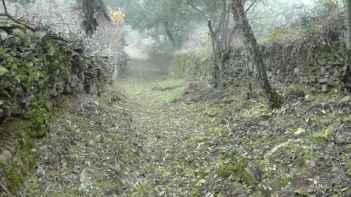 Agroturismo Los Montes