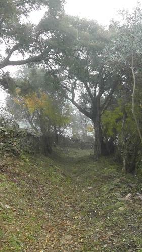 Agroturismo Los Montes