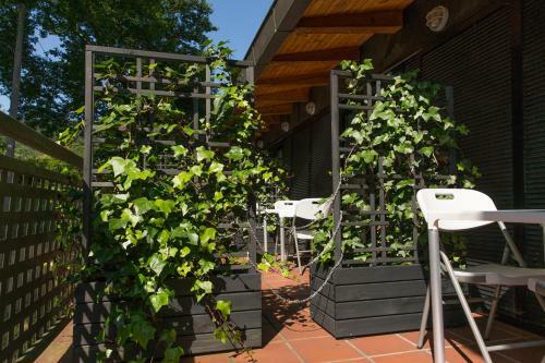 Apartamento Estudios Ermitabarri
