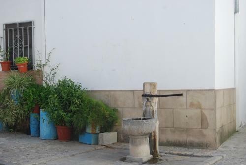 Apartamento Casa Canava