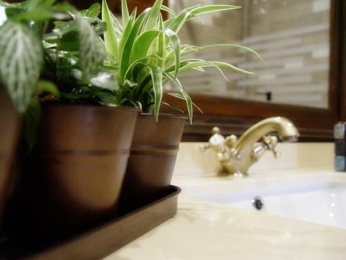 Apartamento Casa El Maguillo Jal�n