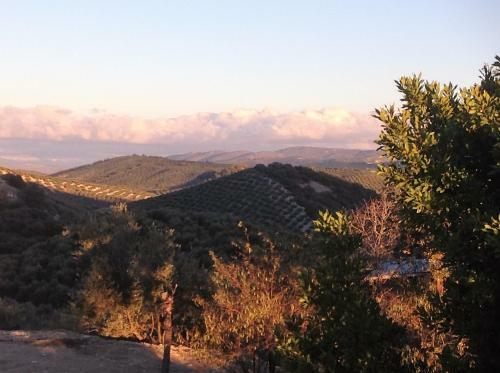 Hostal Cortijo Berruguilla Casa Rural