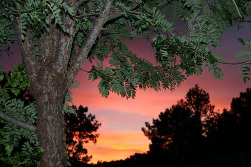 Hostal Albergue Rural Econatur
