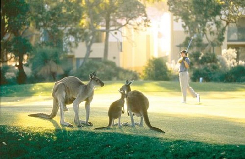 Hotel Joondalup Resort